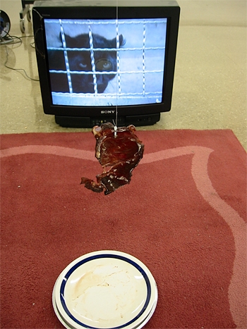 03 01 22 | Fine Art school | test 03 01 22 | Fine Art school | test